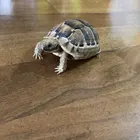 ユーザー画像