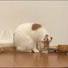 ユーザー画像