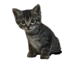 ユーザー画像