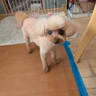 ユーザー画像
