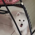 ユーザー画像