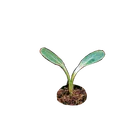 ユーザー画像