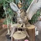 ユーザー画像