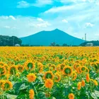 ユーザー画像