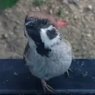 ユーザー画像