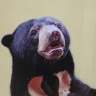 ユーザー画像