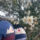 ユーザー画像