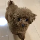 ユーザー画像