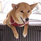 ユーザー画像