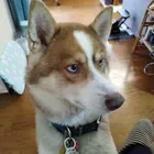 ユーザー画像