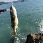 ユーザー画像