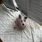 ユーザー画像