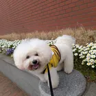 ユーザー画像
