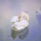 ユーザー画像