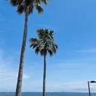 ユーザー画像