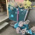 ユーザー画像