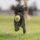 ユーザー画像