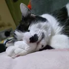 ユーザー画像
