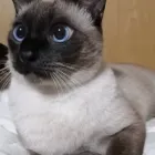 ユーザー画像