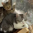 ユーザー画像