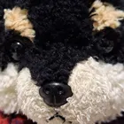 ユーザー画像