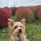 ユーザー画像