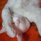 ユーザー画像
