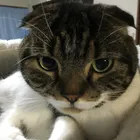 ユーザー画像