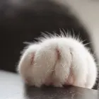 ユーザー画像