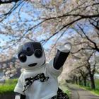 ユーザー画像