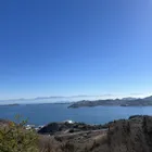 かお