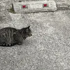 ユーザー画像