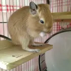ユーザー画像