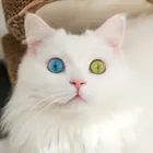 ユーザー画像