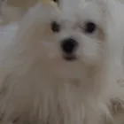 ユーザー画像