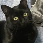 ユーザー画像