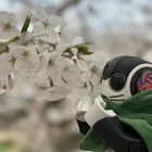 ユーザー画像