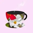 ユーザー画像