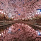 ユーザー画像