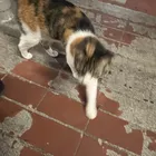 ユーザー画像