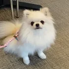ユーザー画像