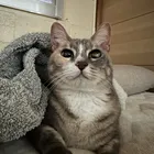 ユーザー画像