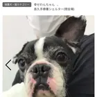 ユーザー画像