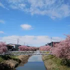 ユーザー画像