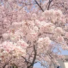 ユーザー画像