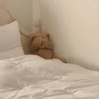 ユーザー画像