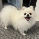 ユーザー画像