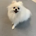 ユーザー画像