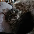 ユーザー画像