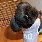 ユーザー画像